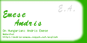 emese andris business card